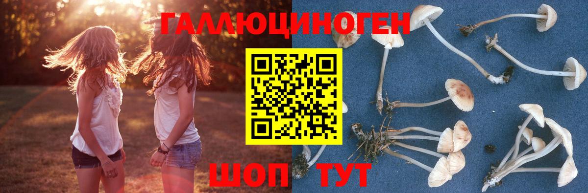 Галлюциногенные грибы Psilocybe  Псилоцибиновые грибы ЛСД  Вход с VPN  Богородицк 